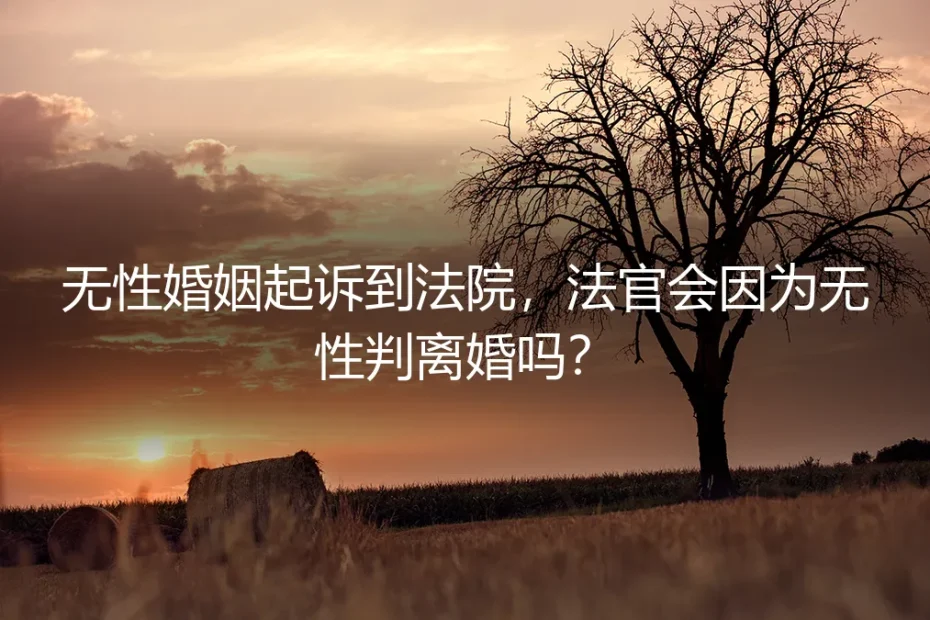 无性婚姻起诉到法院,法官会因为无性判离婚吗?