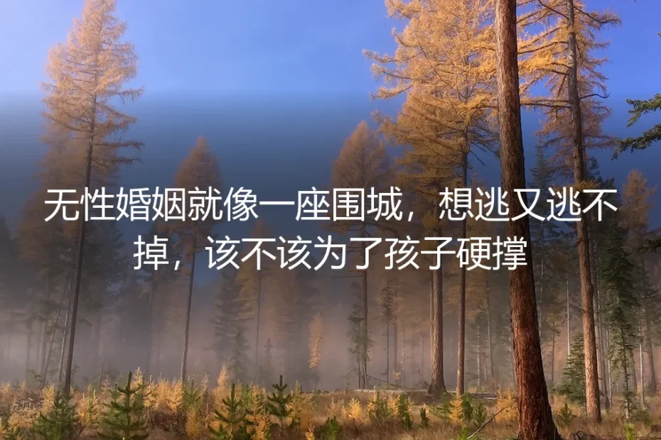 无性婚姻就像一座围城：为了孩子硬撑，还是该逃？
