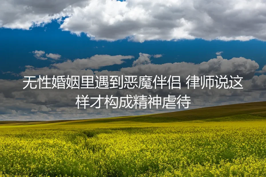 无性婚姻里遇到恶魔伴侣,律师说这样才构成精神虐待:保姆级实操避坑指南