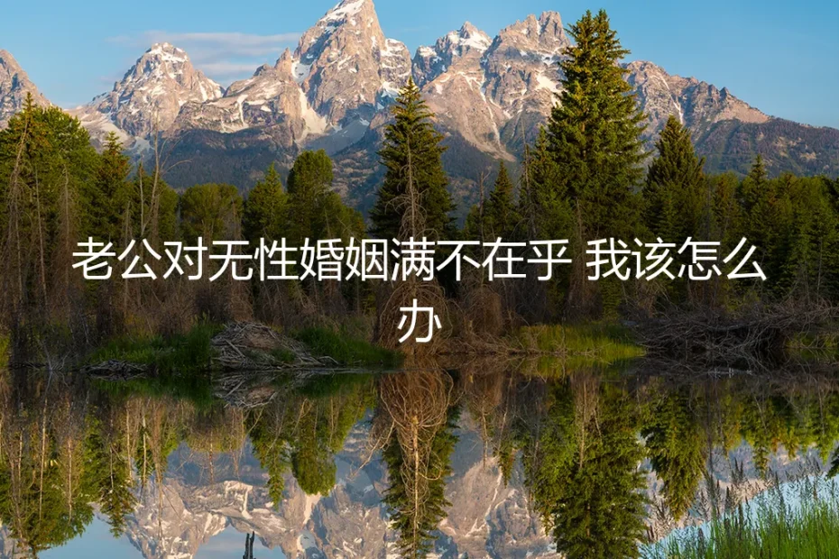 老公对无性婚姻满不在乎,我该怎么办?——高频问答深度剖析