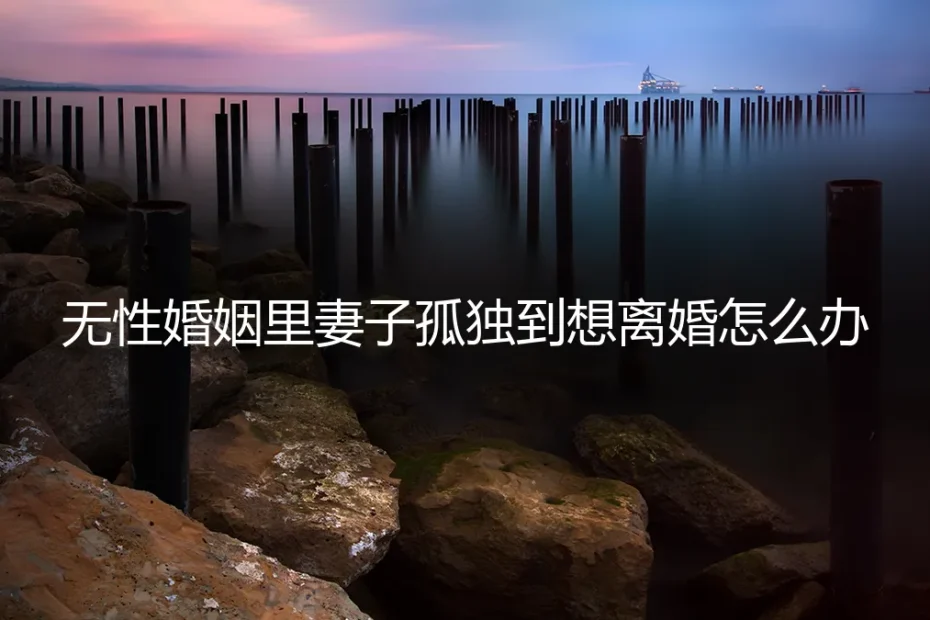 无性婚姻里妻子孤独到想离婚,怎么办?