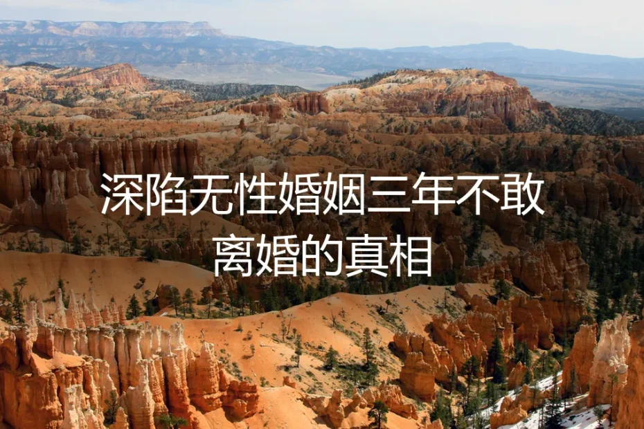 深陷无性婚姻三年不敢离婚，我终于看清了那个真相