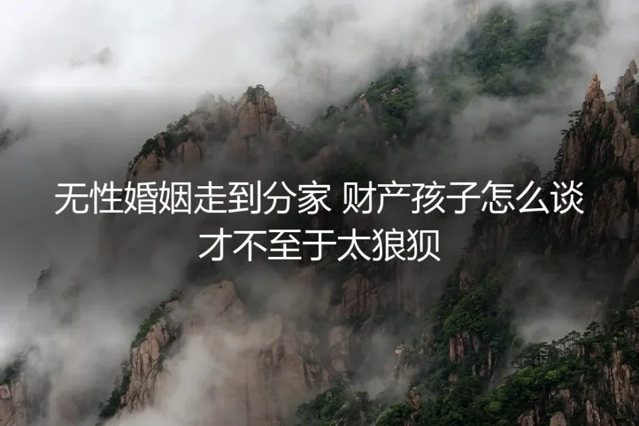 无性婚姻走到分家:财产与孩子谈判的保姆级避坑指南