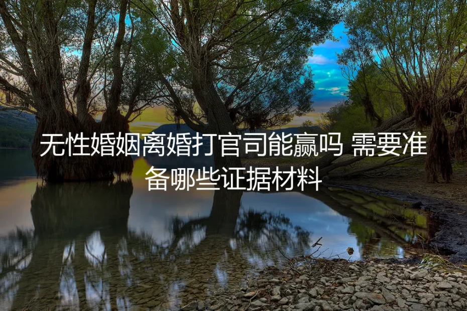 无性婚姻离婚打官司能赢吗?证据材料清单与实操避坑指南