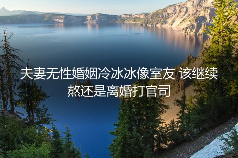 无性婚姻冷冰冰像室友,离婚还是继续熬?——真实情境深度剖析