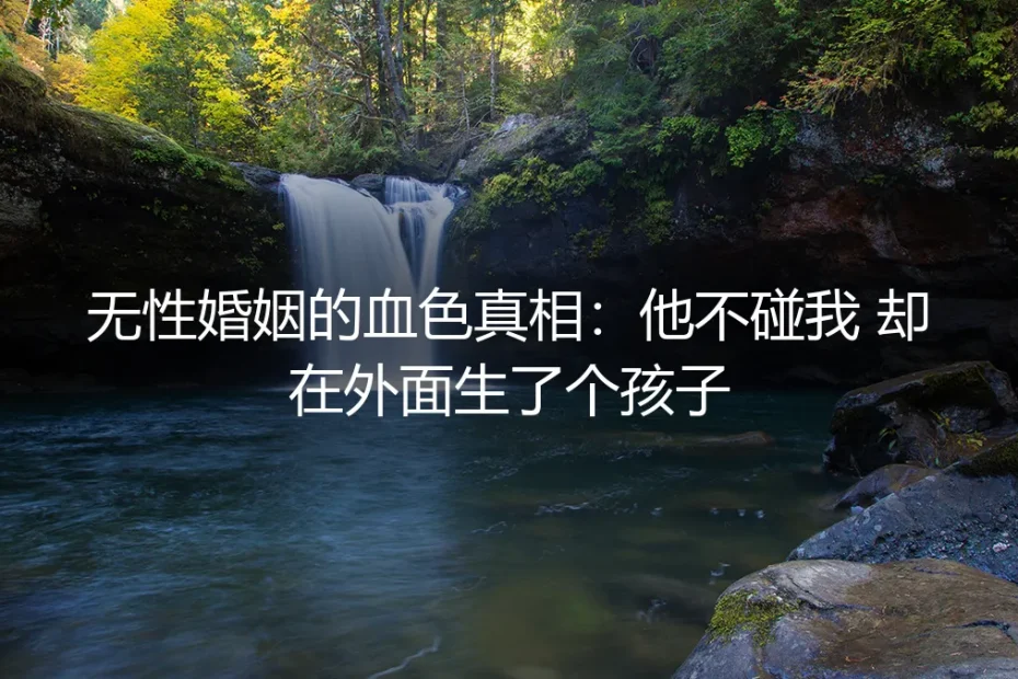 无性婚姻的血色真相:他不碰我,却在外面生了个孩子