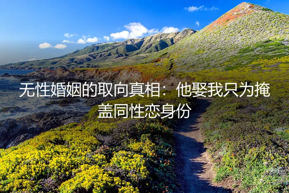 无性婚姻的取向真相:他娶我只为掩盖同性恋身份