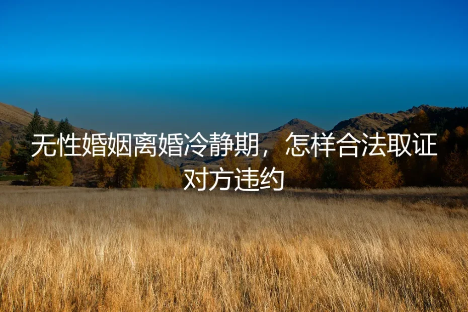 无性婚姻离婚冷静期：合法取证“对方违约”的保姆级实操指南