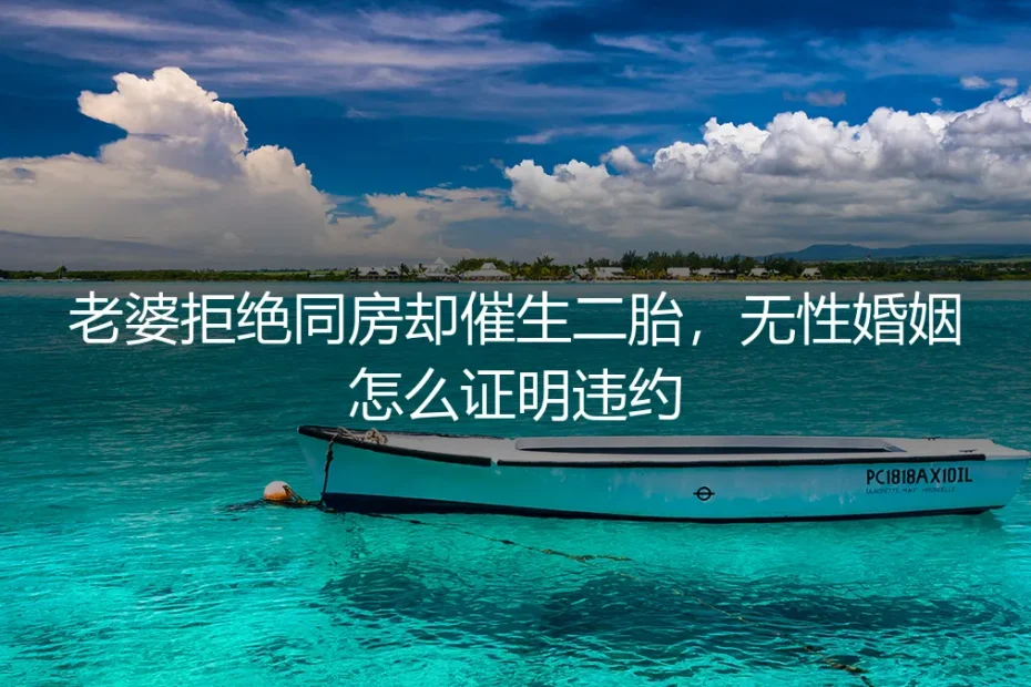老婆拒绝同房却催生二胎，无性婚姻怎么证明违约？一个丈夫的破局实录